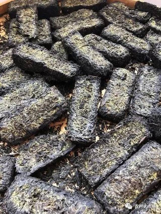 明日剧透古法新制辣木茯茶