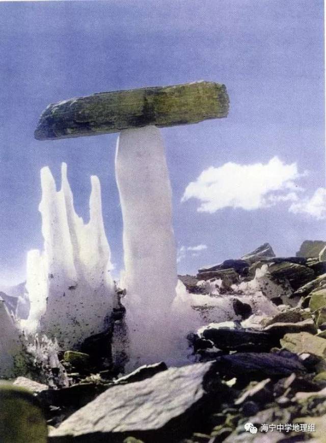 【每日一题】(734)神奇的冰蘑菇