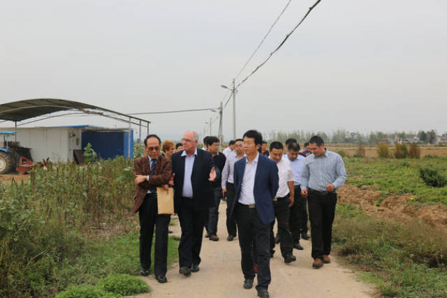 以色列高效农业科技示范园项目在内乡落地正式启航