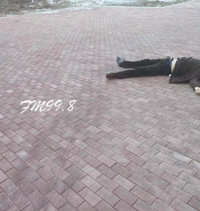 哈市一男子疑因醉酒或突发疾病死在路上,结果却是.(视频)