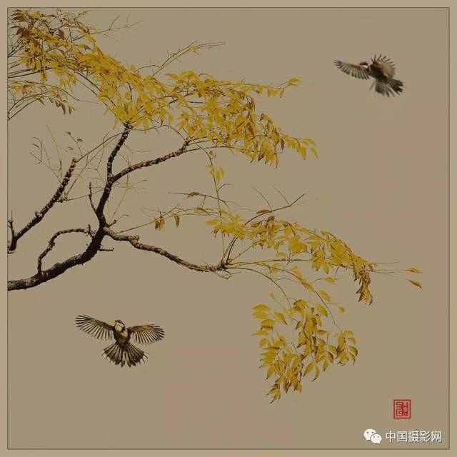 中国摄影网签约摄影师黄云华作品赏析——中国风画意摄影