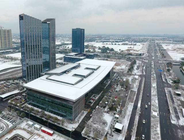 最后,附盛泽雪景照片赏析(大军摄)