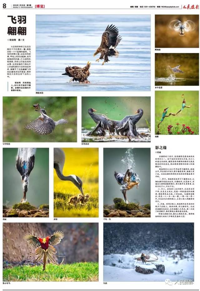 您最喜爱的版面 | 人民摄影报2019年第5期