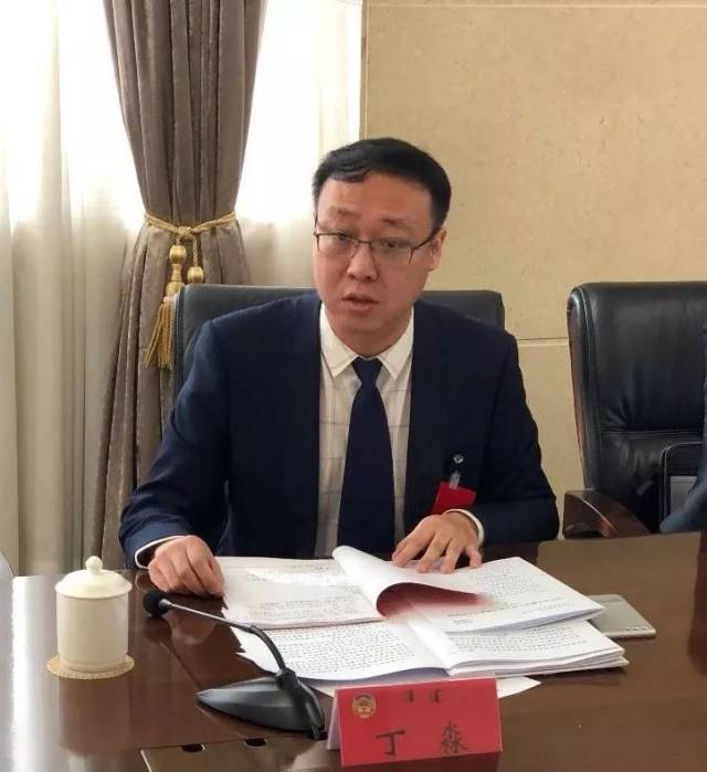区政府副区长丁淼参加区政协九届二次会议分组讨论