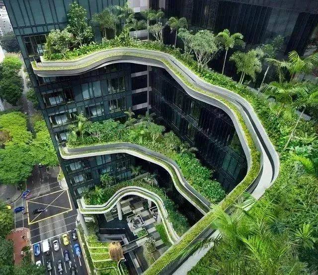 立体绿化在未来城市中的创想应用