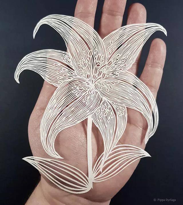 让人叹为观"纸"的纸雕花