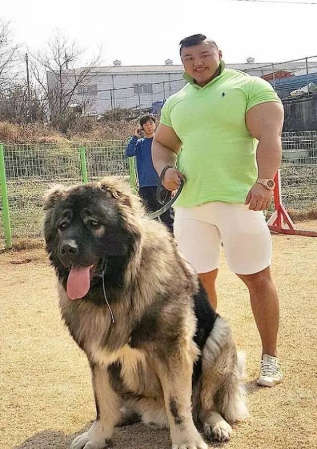 韩国最富有肌肉男!