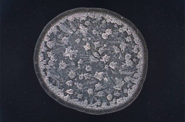 奇趣照片;显微镜下的一滴海水及一滴眼泪.