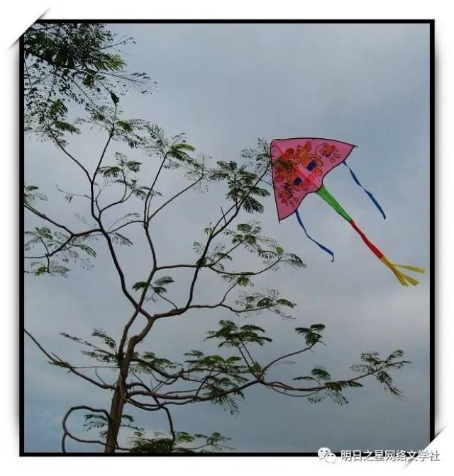 有一天,风来到广场."我要把风筝吹到树上."于是,她把风筝吹到了树上.