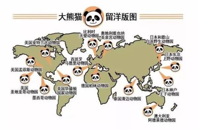 野生大熊猫分布图图片