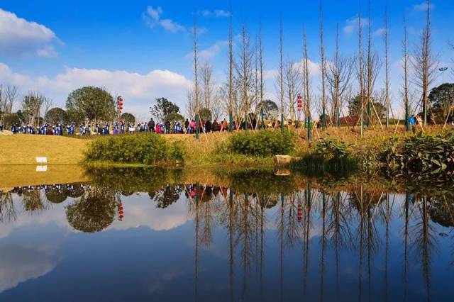 遂寧城區最大溼地公園驚豔亮相,趕緊來打卡!