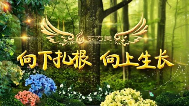 向下扎根向上生长|我们都是追梦人