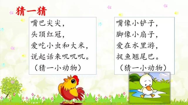 部编版一年级语文下册课文预习:第5课《小公鸡和小鸭子》图文解读