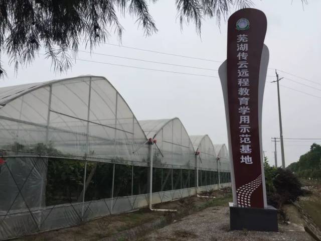 芜湖传云绿色果品 种植专业合作社 远教学用示范基地