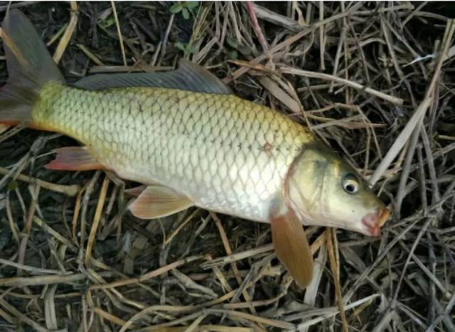 中国升钟湖美都准备好了就等你来