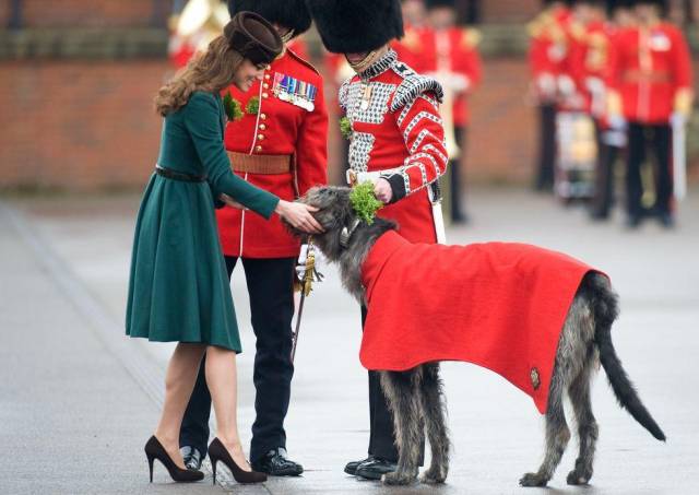 英国王室的狗奴人生!细数王室成员与汪星人们的相处时刻