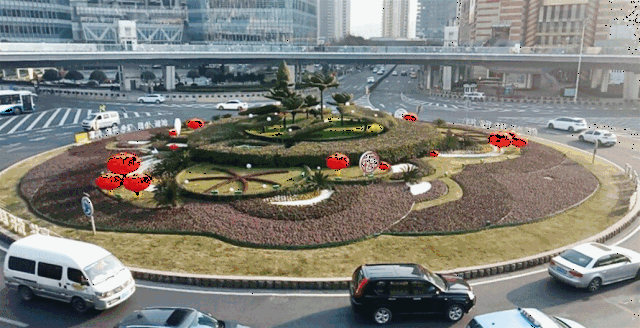 在四平路曲阳路有着一群可爱的小猪,它们和花坛完美融为一体,伴随着