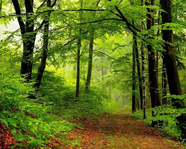 在2019年国家电网公司层次越高,挣钱越多