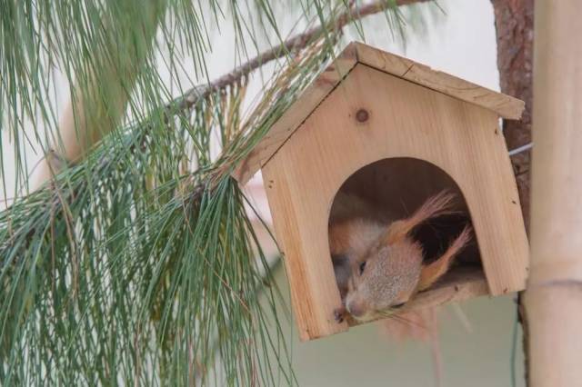 寒假精选●亲子游 】中山松鼠乐园￥29.