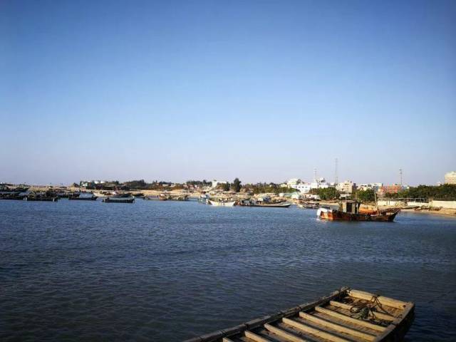 侨村侨校·寻根寻美 | 心存晋江风情,乡村振兴我们同行