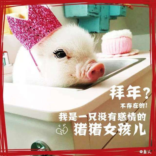 我想变成一只猪,怎样变成一只猪,画一只猪一步一步画_大山谷图库