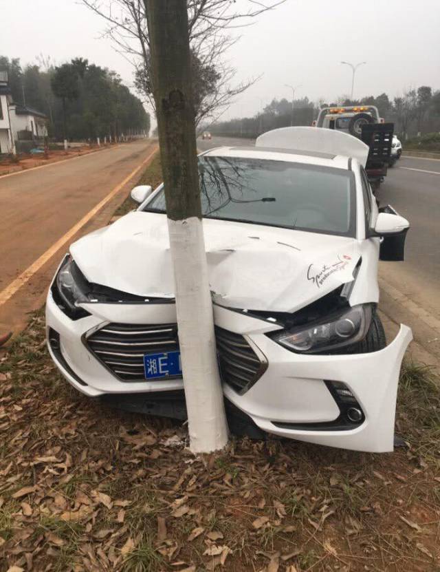 现代领动遭追尾一头撞树拆开保险杠网友这防撞梁是纸糊的吗