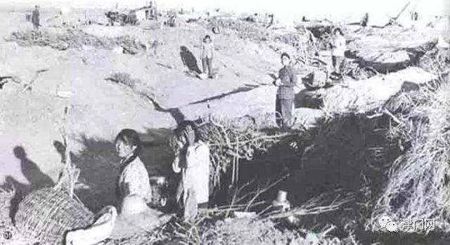 【历史影像】旧影:新疆建设兵团的老照片,峥嵘的岁月