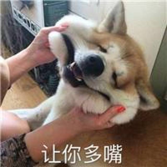 搞笑:9張動物搞笑表情包讓你笑個不停