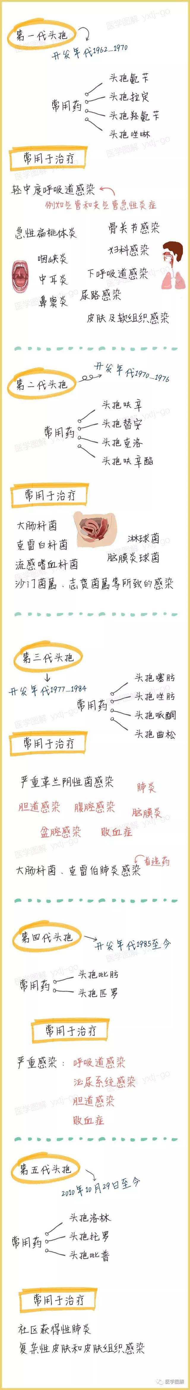 带你了解五代头孢(医学图解)