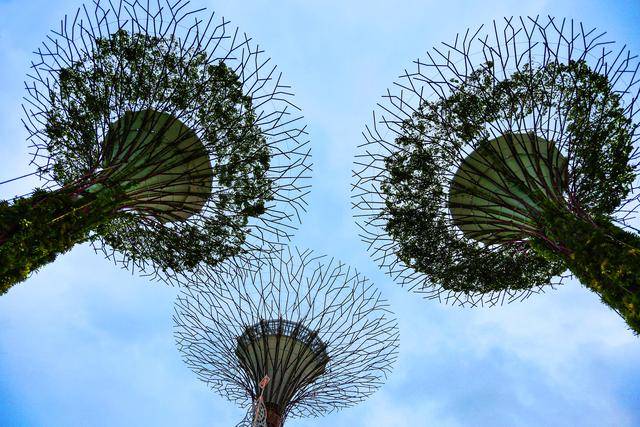 这个国家人口只有五百万,却有常备军七万多,占比约是中国的十倍