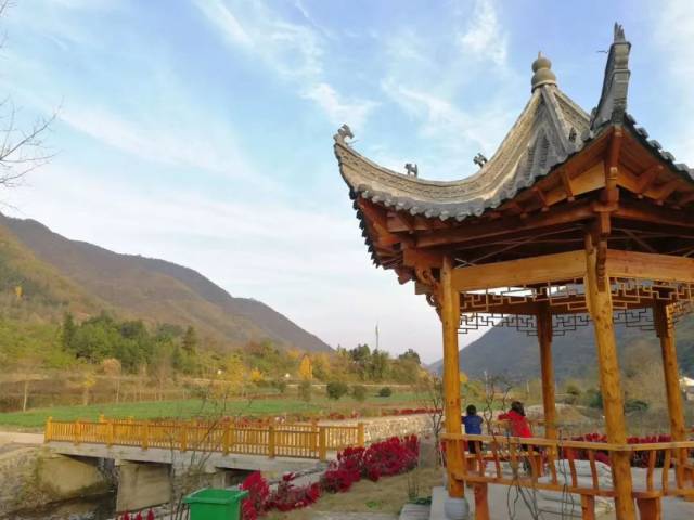 泾县梅村龙灯盛会连演近20天!正月十五龙灯进城!