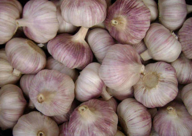 生吃大蒜身体会有哪些变化?悄悄告诉你,有6大好处