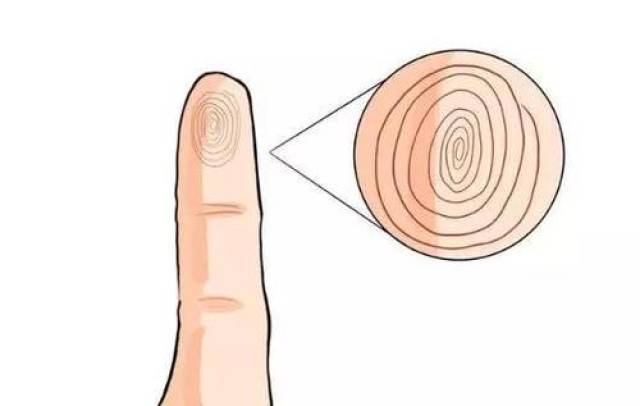 十个手指上有七个斗,五个斗,十个斗都有什么不