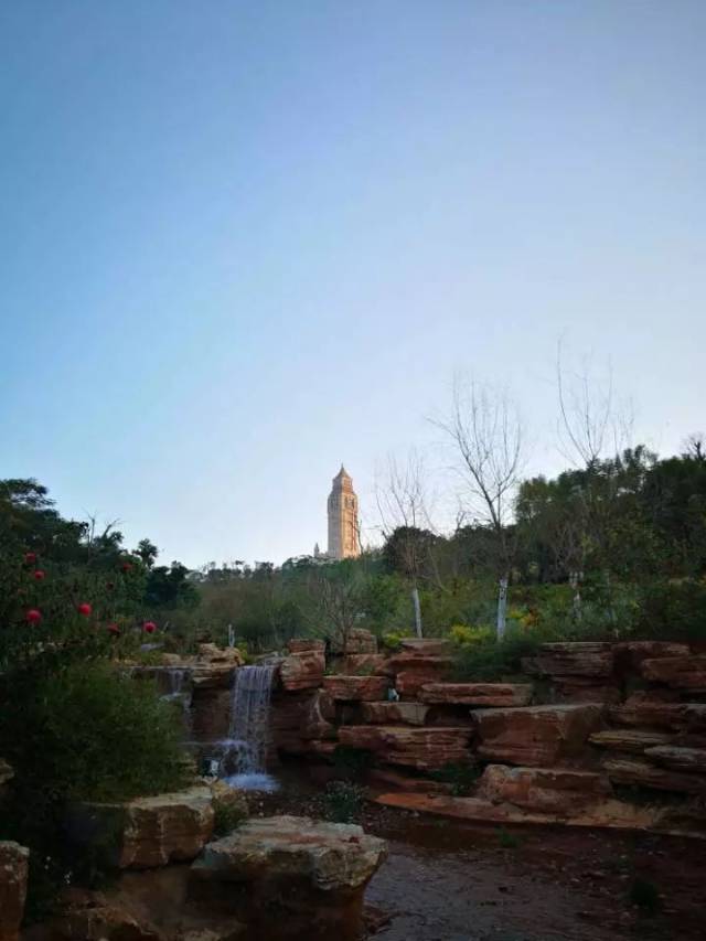 賞花,散步,深呼吸, 感受開遠的小清新~ 03 【 鳳凰生態公園,一山液