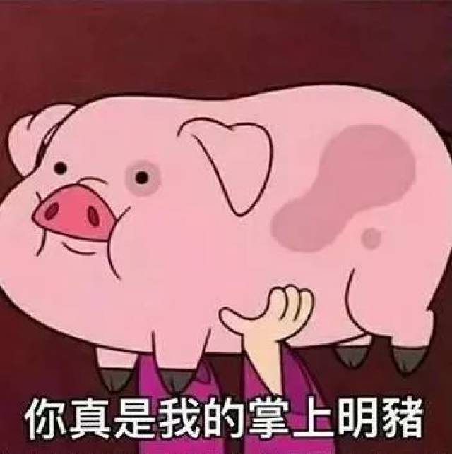 猪年到，请尖叫！佩奇也曾是神兽_搜狐网