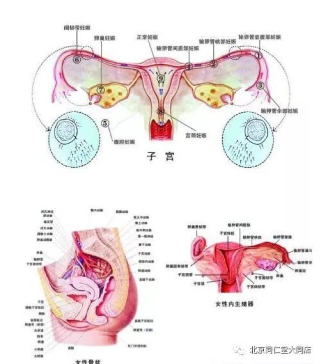 10个女人9个淤淤血加速衰老致百病中医一碗汤改变现状
