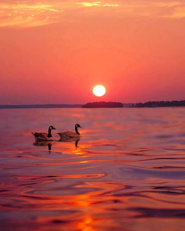 春归更忆追梦人 —写给诗人海子