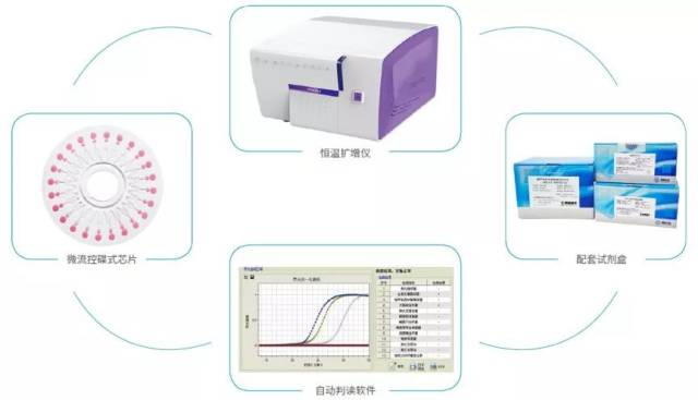 恒温扩增技术：基因编辑的新方向