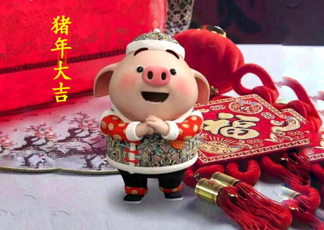 中国最早的猪长什么样——猪年话名猪（四）_搜狐网