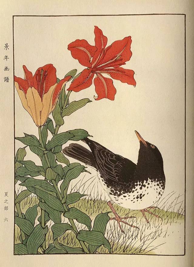 这些花鸟画,出自一位日本画家
