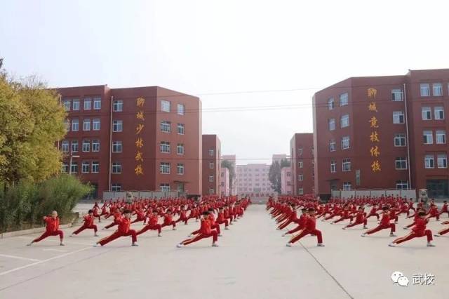 河北省内武术教育:传统与现代的完美融合