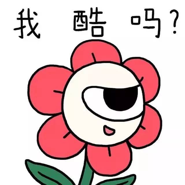 恐怕你還需要一枝花