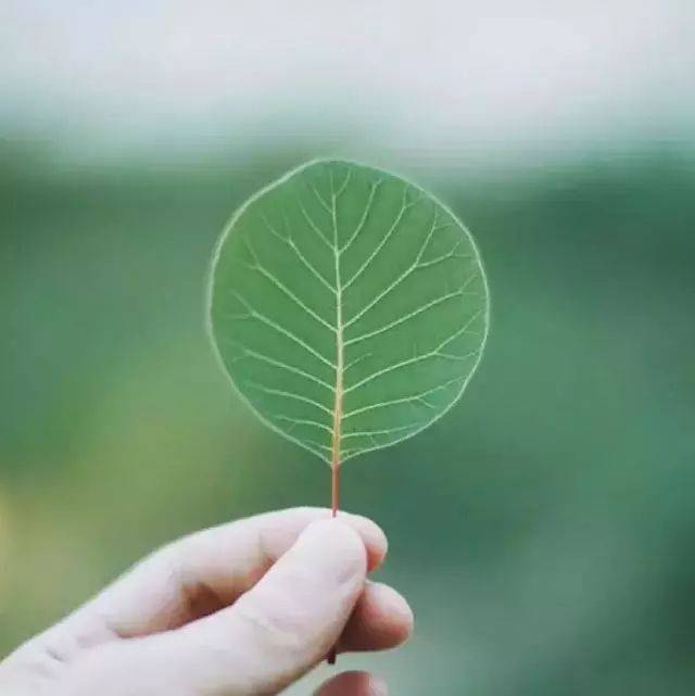 朋友圈背景图,好看的文字背景图