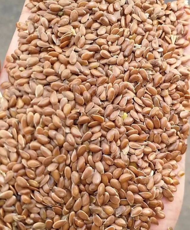 饲料原料亚麻籽粕饼的营养价值和用途