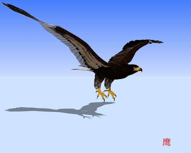 洛阳话:恶老雕