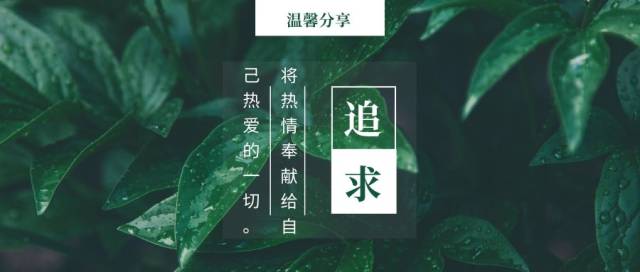 回血帖 | 用心过好每一天