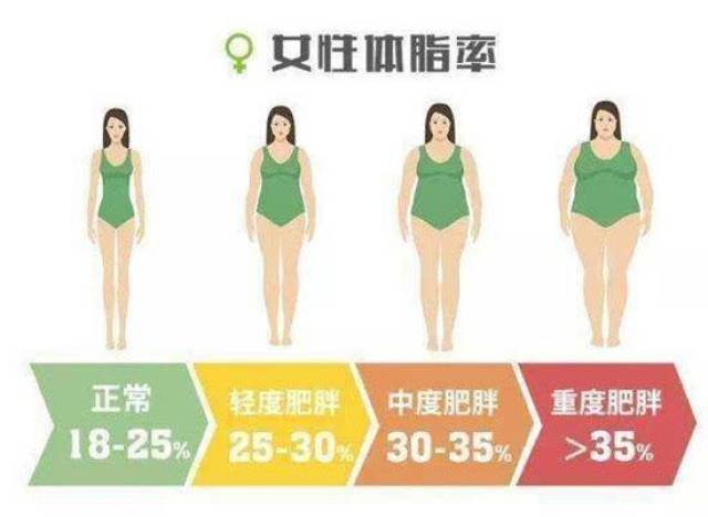体脂率对比照片女图片