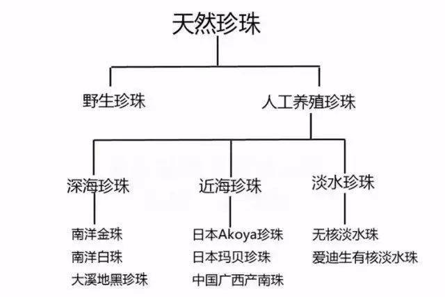 淡水真珠 大球天然色-