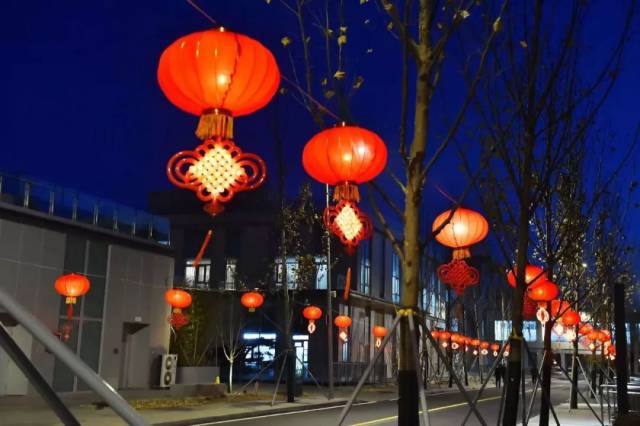 道路两旁的红灯笼.刘向阳摄