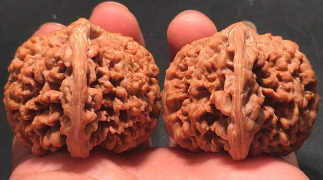 满天星文玩核桃的特点_搜狐网